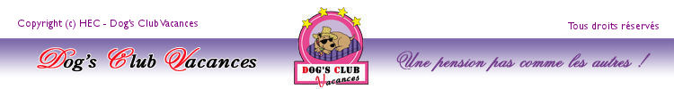 Dog's Club Vacances : une pension pas comme les autres... pour votre chien